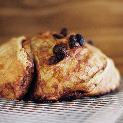 Cinnamon Raisin Infused Sourdough Round