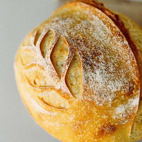 Sourdough Round